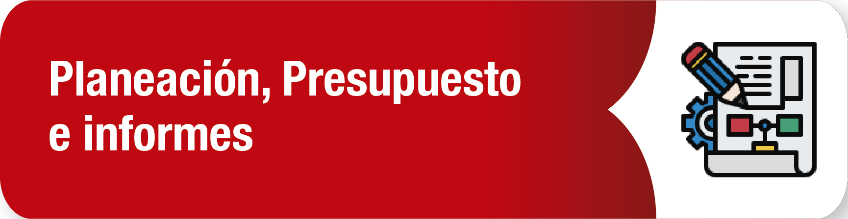 4. Planeación, Presupuesto e informes 4. Planeación, Presupuesto e informes
